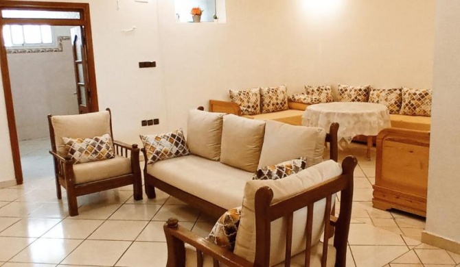 luxurious apartment Essaoura