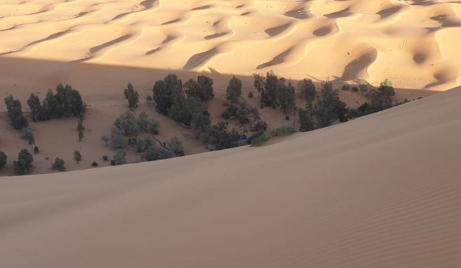 Amalouk Desert Trip