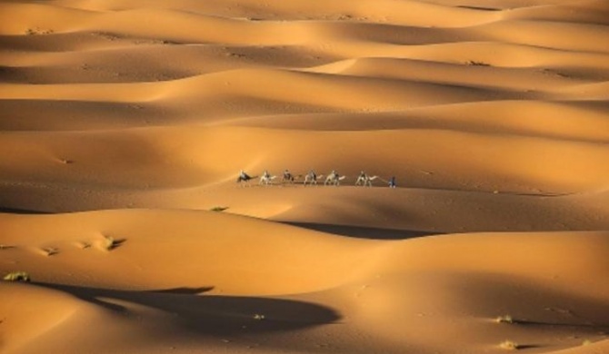 desert camp sahara luxury