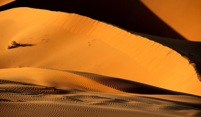 Merzouga Desert Bivouac & Activities