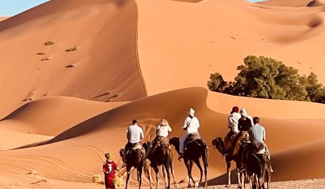 Sahara Nomad Camp