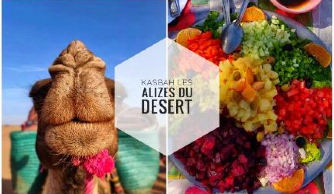 Kasbah Les Alizes Du Desert